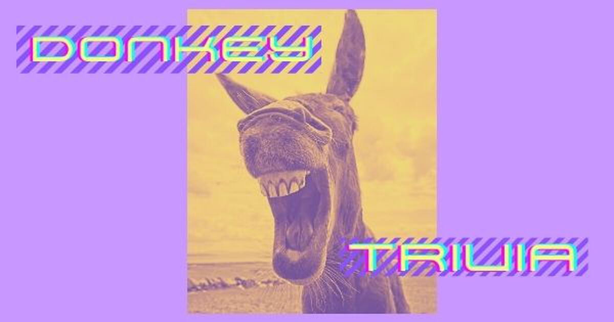 Donkey Trivia image number 0